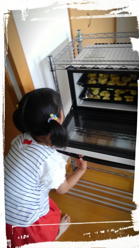 f:id:gorochan75:20190608214705j:plain f:id:gorochan75:20190608214705j:plain
