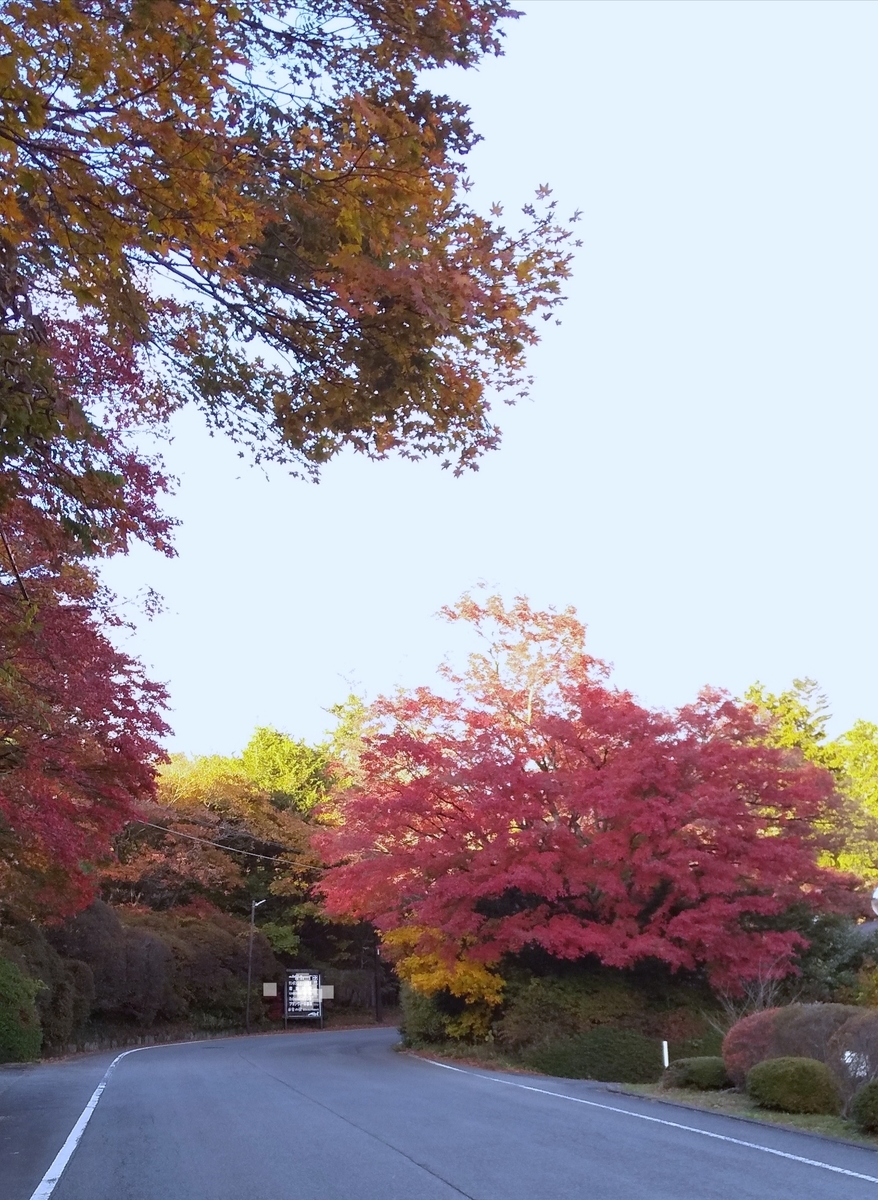 f:id:gorochan75:20191118190927j:plain