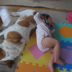 f:id:gorochan75:20200724232918j:plain f:id:gorochan75:20200724232918j:plain