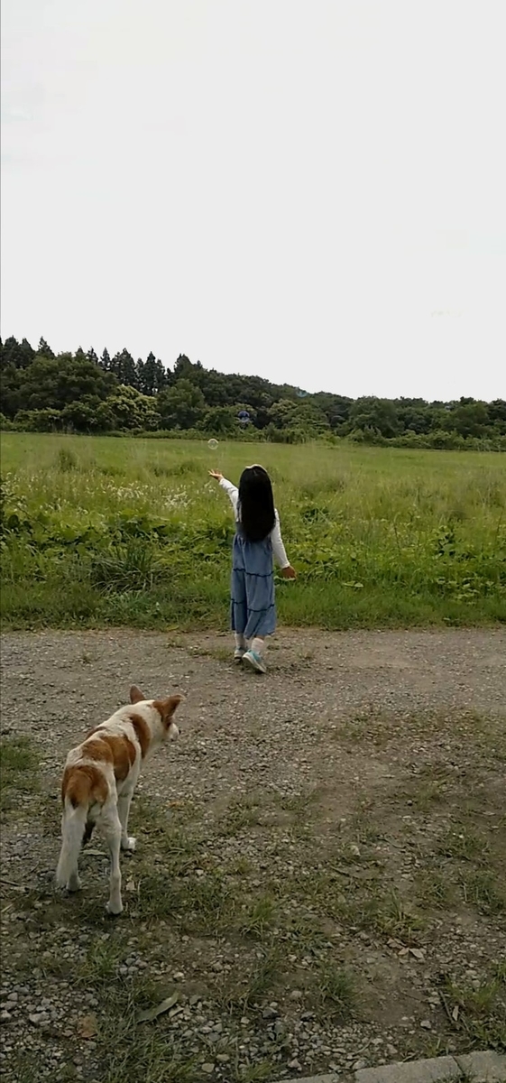 f:id:gorochan75:20200724232934j:plain
