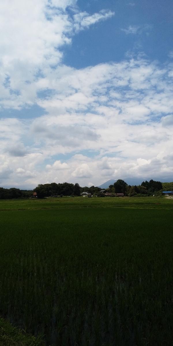 f:id:gorochan75:20210626174312j:plain
