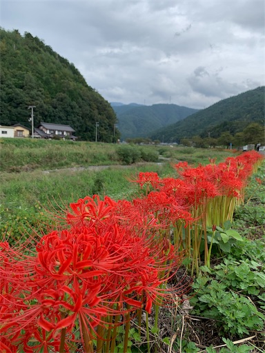 f:id:gorogoro_camp:20190929122505j:image f:id:gorogoro_camp:20190929122505j:image