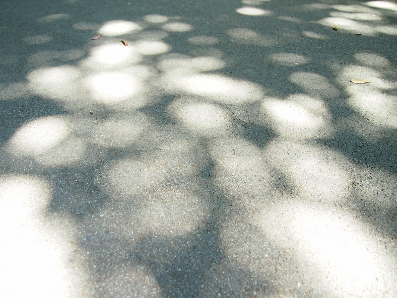 肌断食 おすすめの石けんで落ちる日焼け止め Uvカットアイテム まとめ Baselog