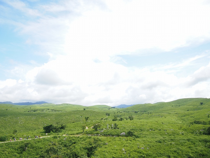 f:id:gorogorogorogoro:20210130162708j:plain