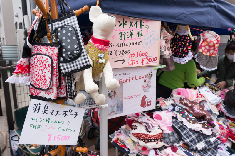DSC09260.jpg