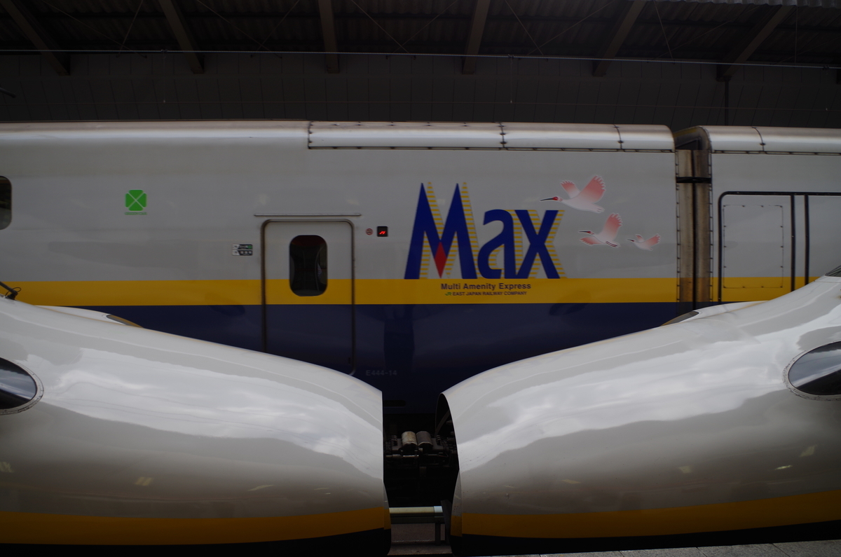 E4系「MAX」車内の様子 - きっぷを片手に