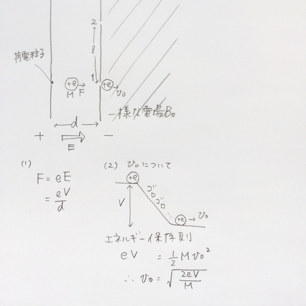 f:id:gororika:20190219150341j:plain