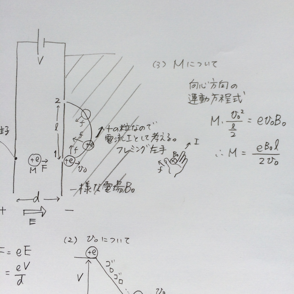 f:id:gororika:20190219151208j:plain