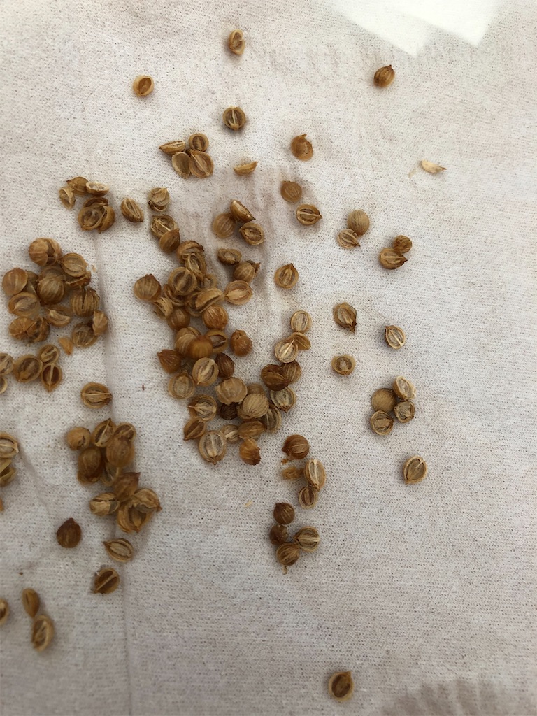 f:id:gororo2nyangororo:20200917111322j:image