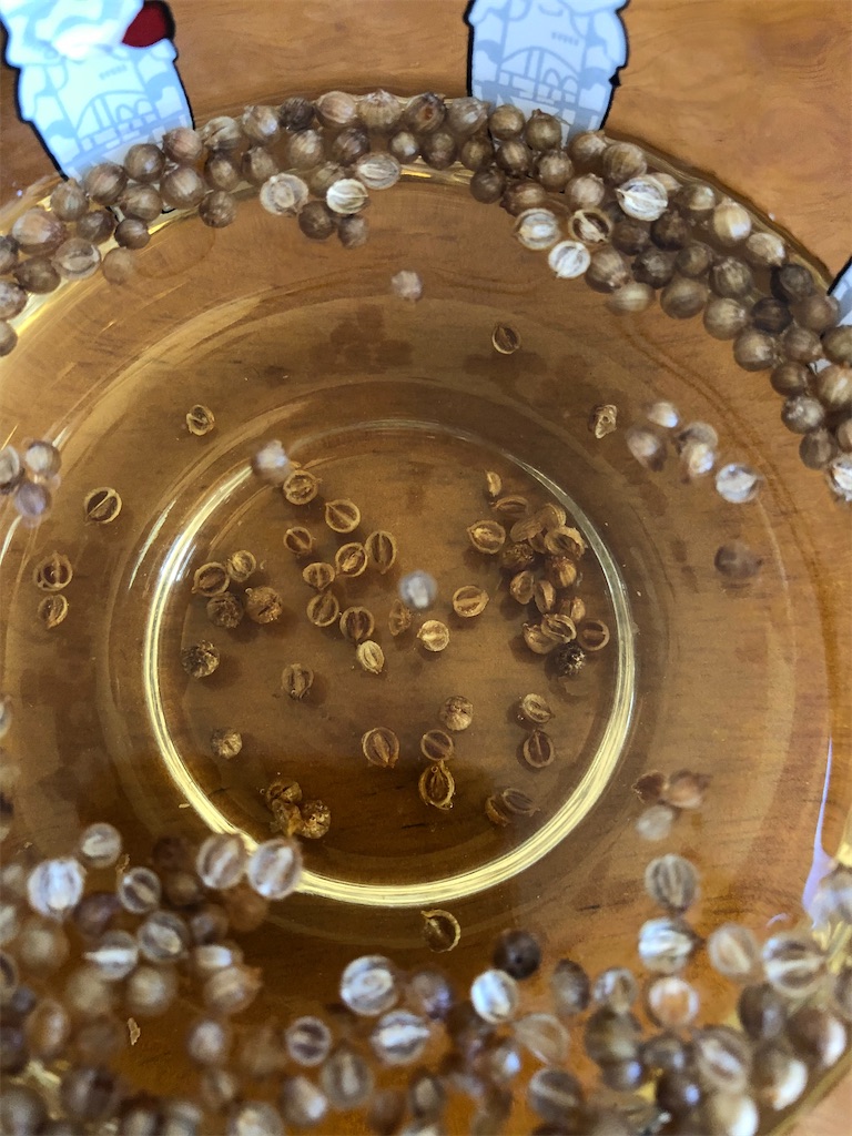 f:id:gororo2nyangororo:20200917111509j:image