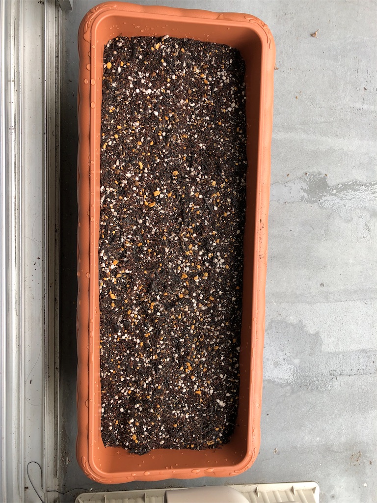 f:id:gororo2nyangororo:20200917111513j:image