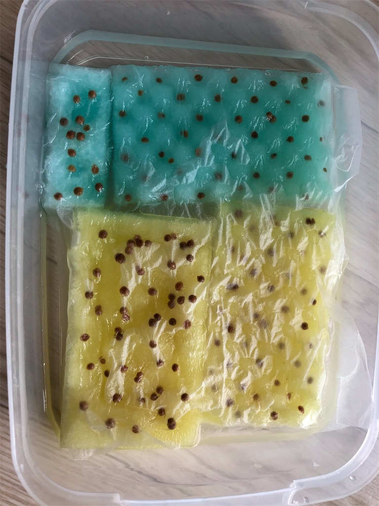 f:id:gororo2nyangororo:20200917111521j:image