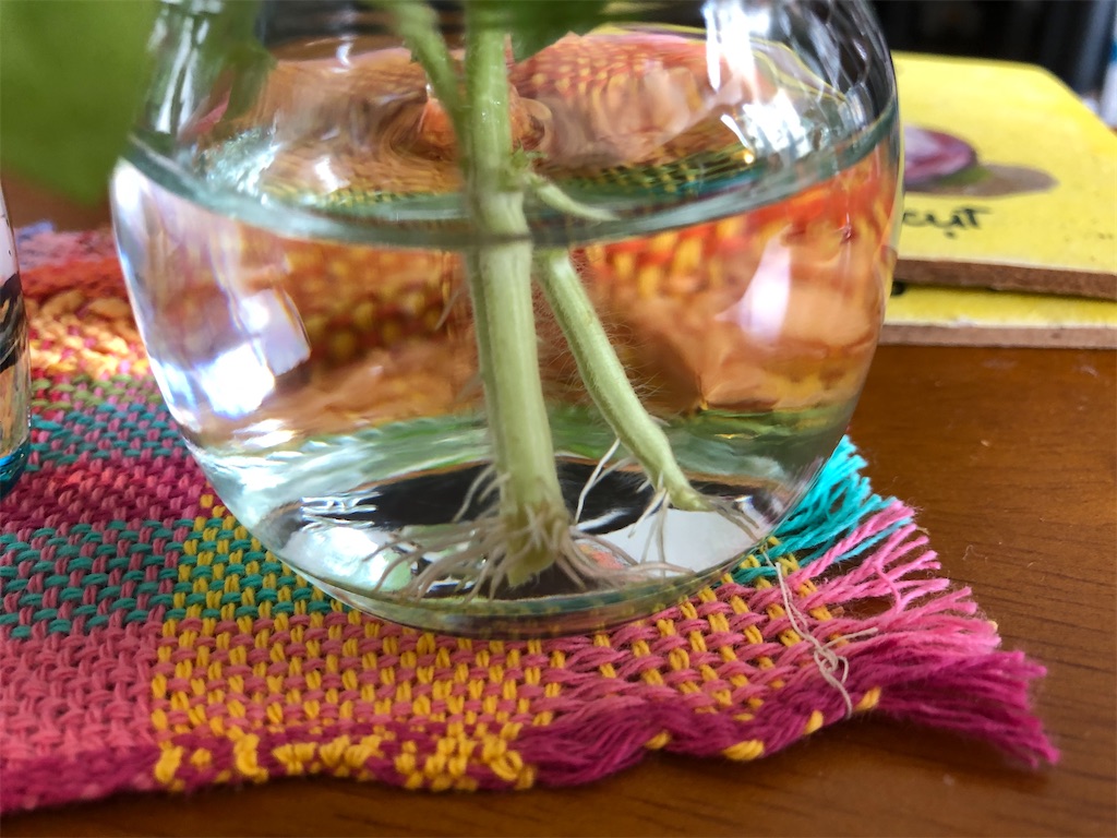 f:id:gororo2nyangororo:20200919012523j:image f:id:gororo2nyangororo:20200919012523j:image