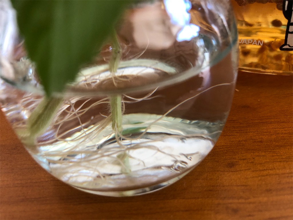 f:id:gororo2nyangororo:20200919012606j:image f:id:gororo2nyangororo:20200919012606j:image