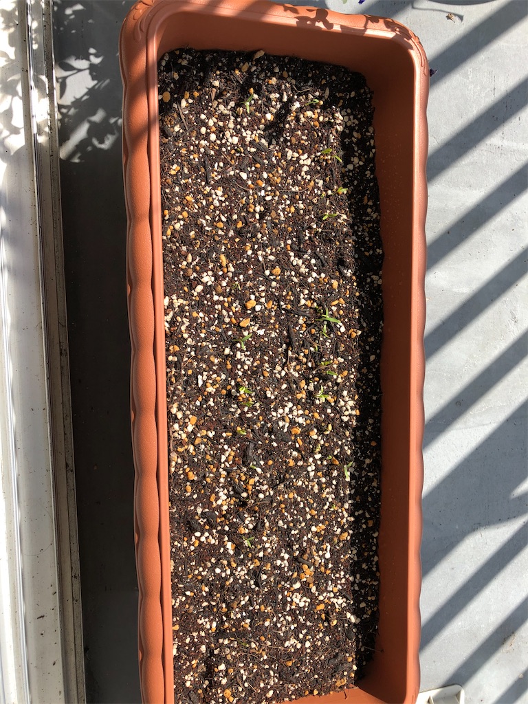 f:id:gororo2nyangororo:20200923140451j:image f:id:gororo2nyangororo:20200923140451j:image