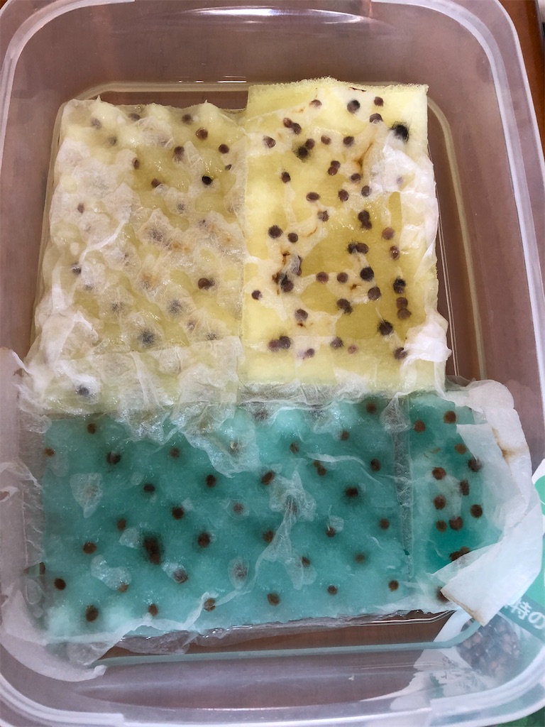 f:id:gororo2nyangororo:20200923141756j:image f:id:gororo2nyangororo:20200923141756j:image