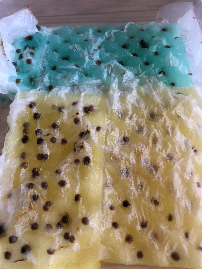 f:id:gororo2nyangororo:20200923141806j:image f:id:gororo2nyangororo:20200923141806j:image