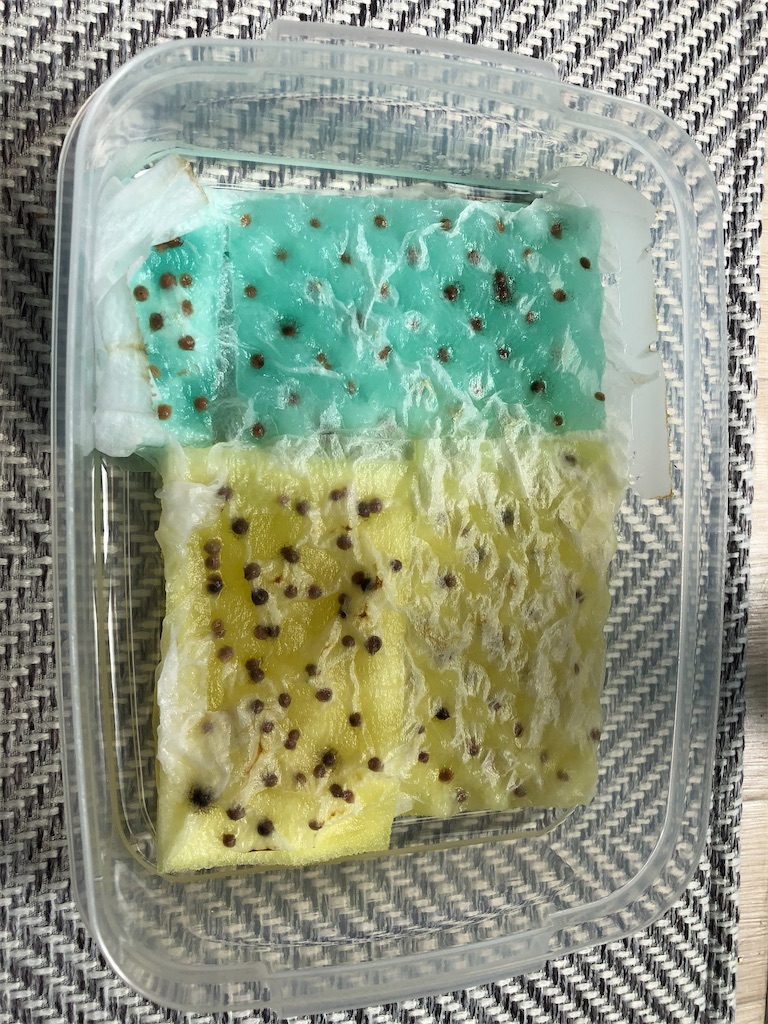 f:id:gororo2nyangororo:20200923141809j:image f:id:gororo2nyangororo:20200923141809j:image