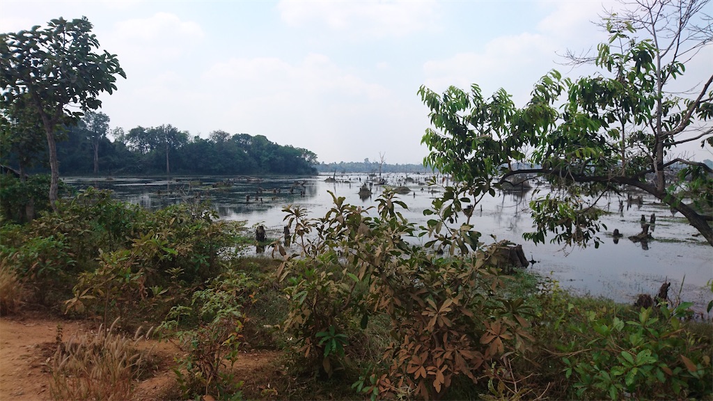 f:id:gororo2nyangororo:20200929191810j:image