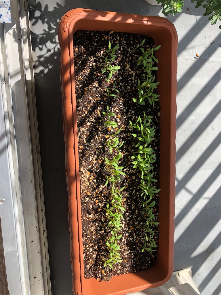 f:id:gororo2nyangororo:20200929234416j:image f:id:gororo2nyangororo:20200929234416j:image