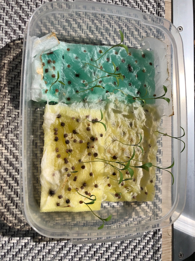 f:id:gororo2nyangororo:20200929234658j:image f:id:gororo2nyangororo:20200929234658j:image