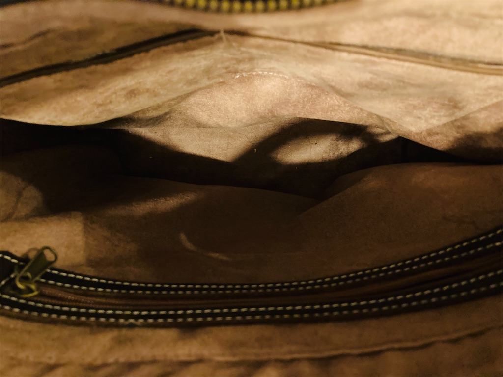 f:id:gororo2nyangororo:20201006210342j:image