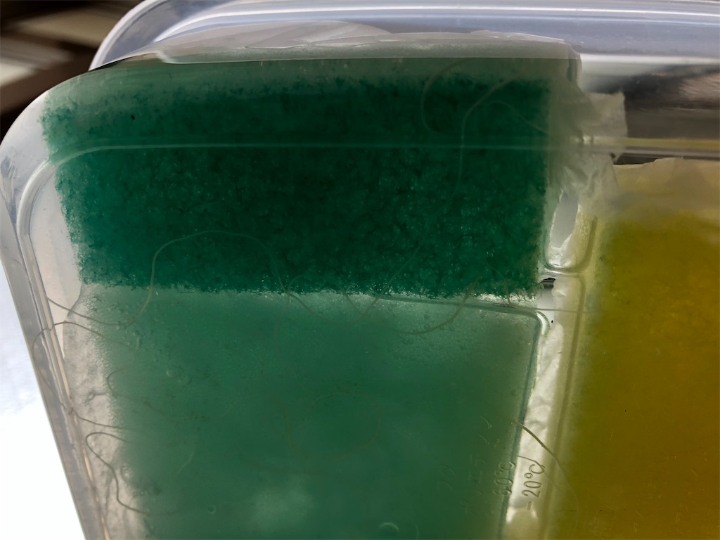 f:id:gororo2nyangororo:20201009024910j:image