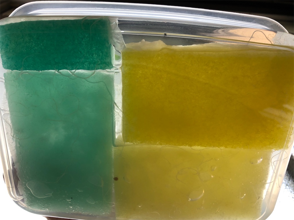 f:id:gororo2nyangororo:20201009024913j:image