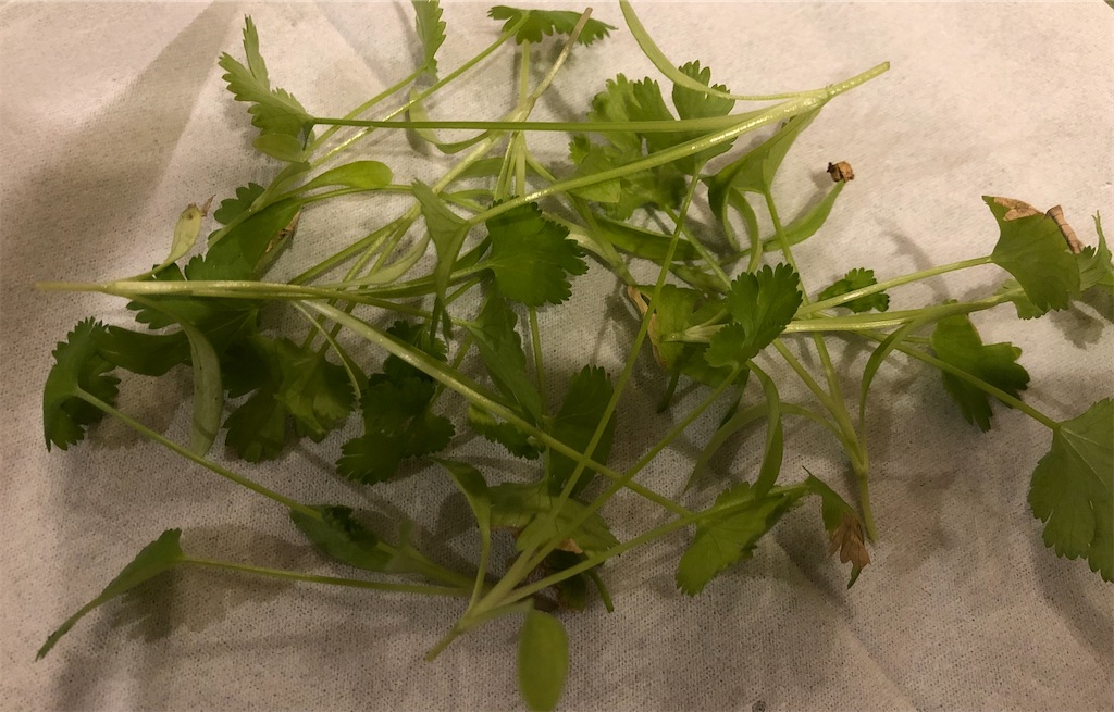 f:id:gororo2nyangororo:20201023162051j:image