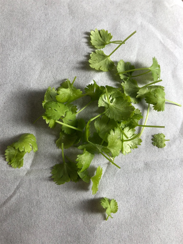 f:id:gororo2nyangororo:20201023162635j:image