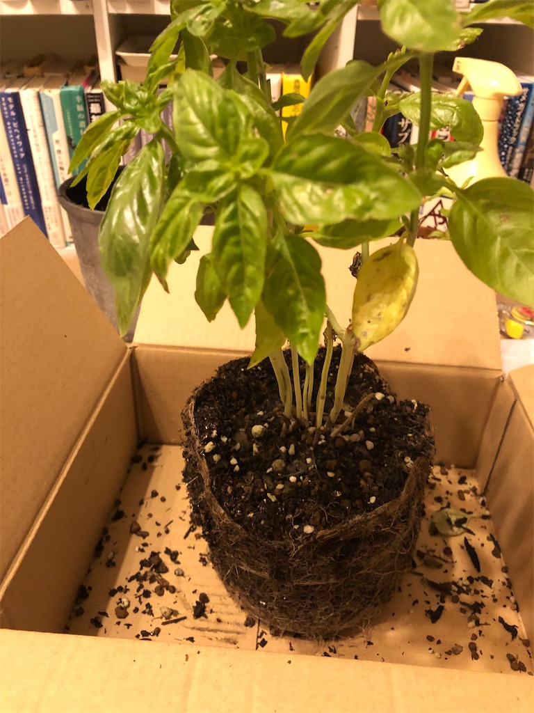 f:id:gororo2nyangororo:20201023180254j:image f:id:gororo2nyangororo:20201023180254j:image