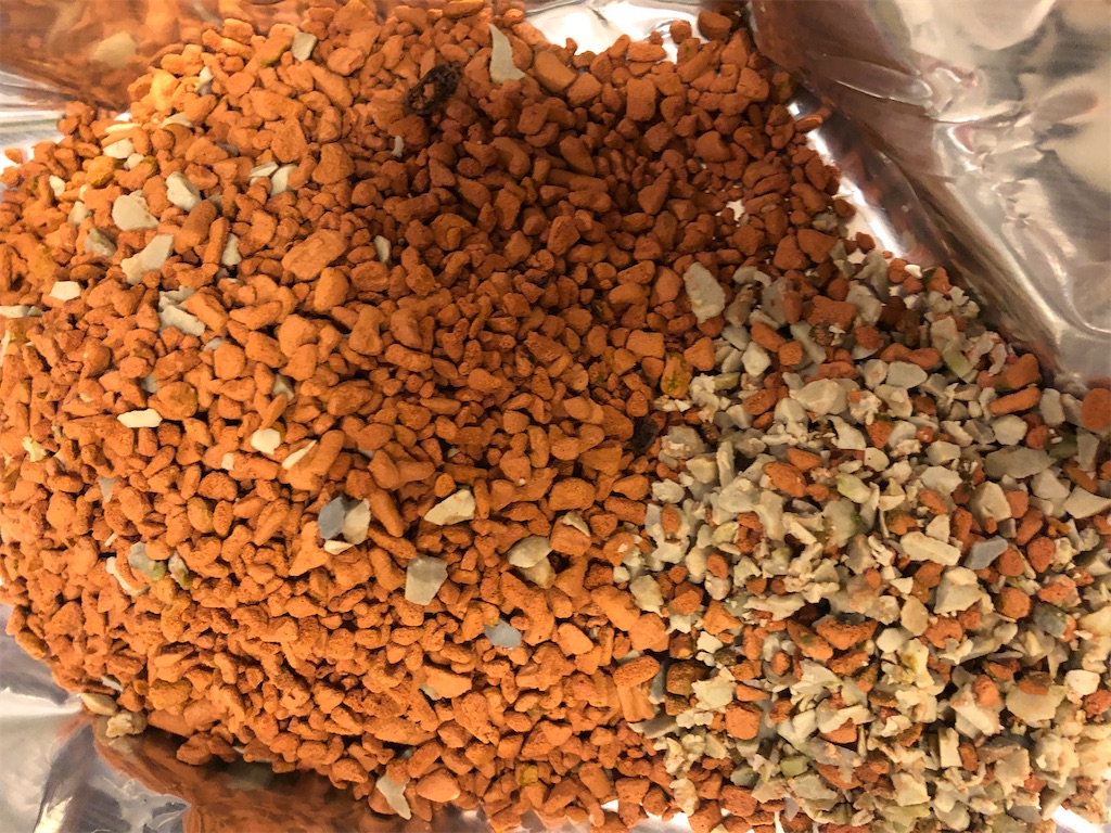 f:id:gororo2nyangororo:20201029130738j:image