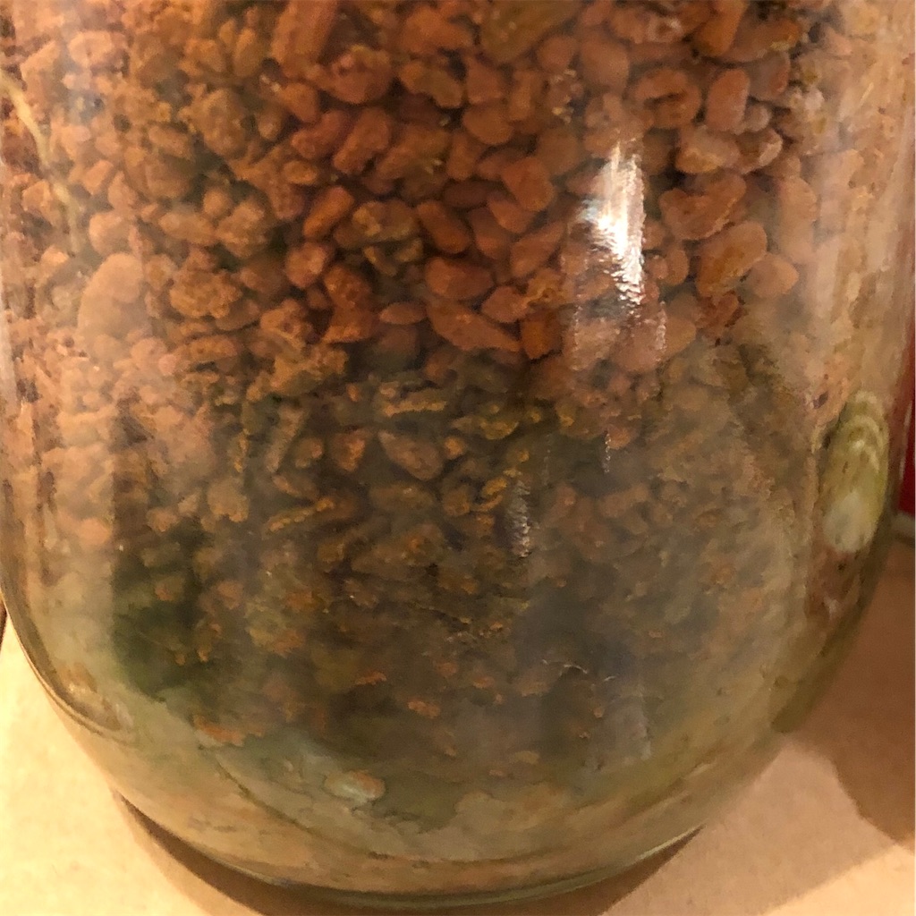 f:id:gororo2nyangororo:20201029130931j:image