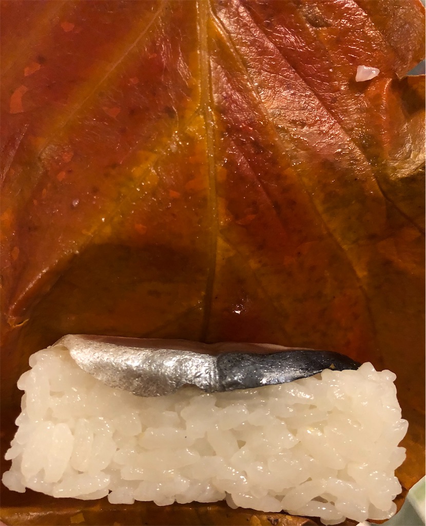 f:id:gororo2nyangororo:20201215164737j:image f:id:gororo2nyangororo:20201215164737j:image