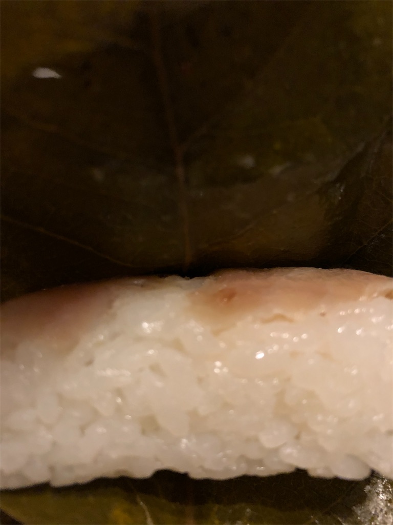 f:id:gororo2nyangororo:20201215164943j:image f:id:gororo2nyangororo:20201215164943j:image