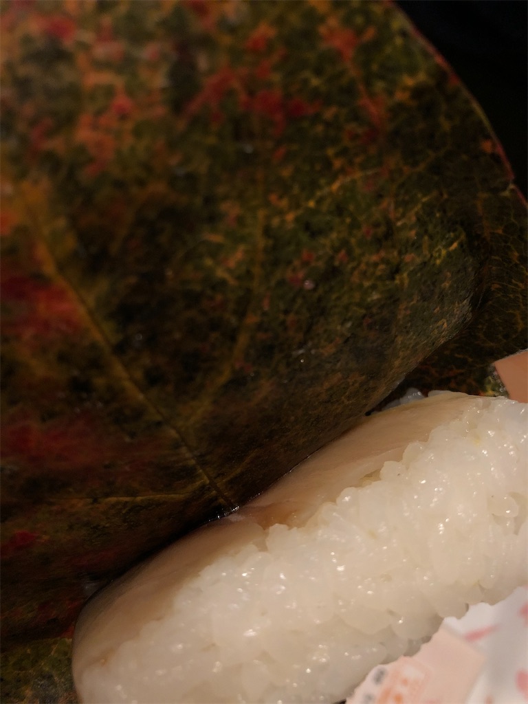 f:id:gororo2nyangororo:20201215165257j:image f:id:gororo2nyangororo:20201215165257j:image