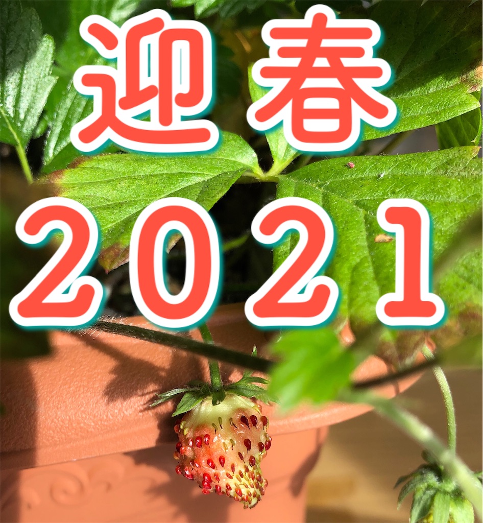 f:id:gororo2nyangororo:20210106122201j:image f:id:gororo2nyangororo:20210106122201j:image