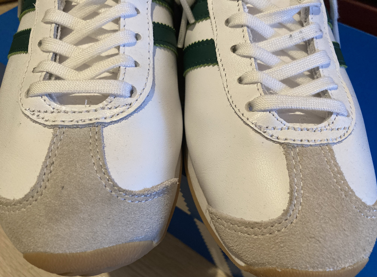 f:id:gororo2nyangororo:20210906164453j:plain