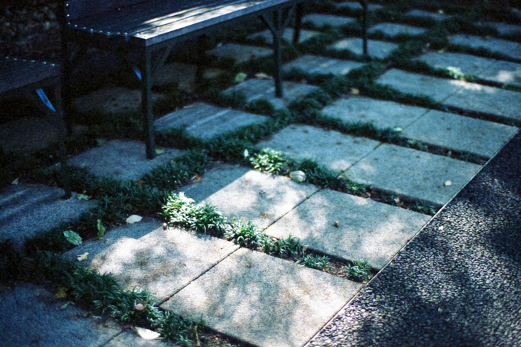 f:id:gorotaku:20141030202420j:plain