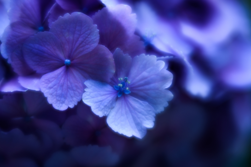 f:id:gorotaku:20150615175558j:plain