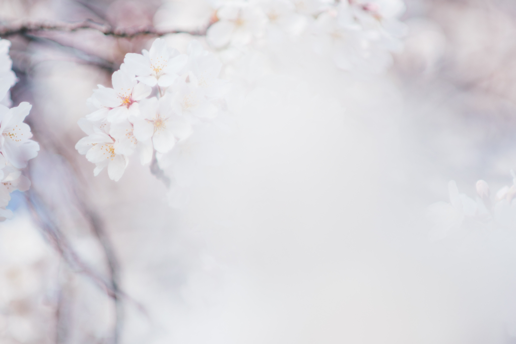 f:id:gorotaku:20180328162938j:plain f:id:gorotaku:20180328162938j:plain