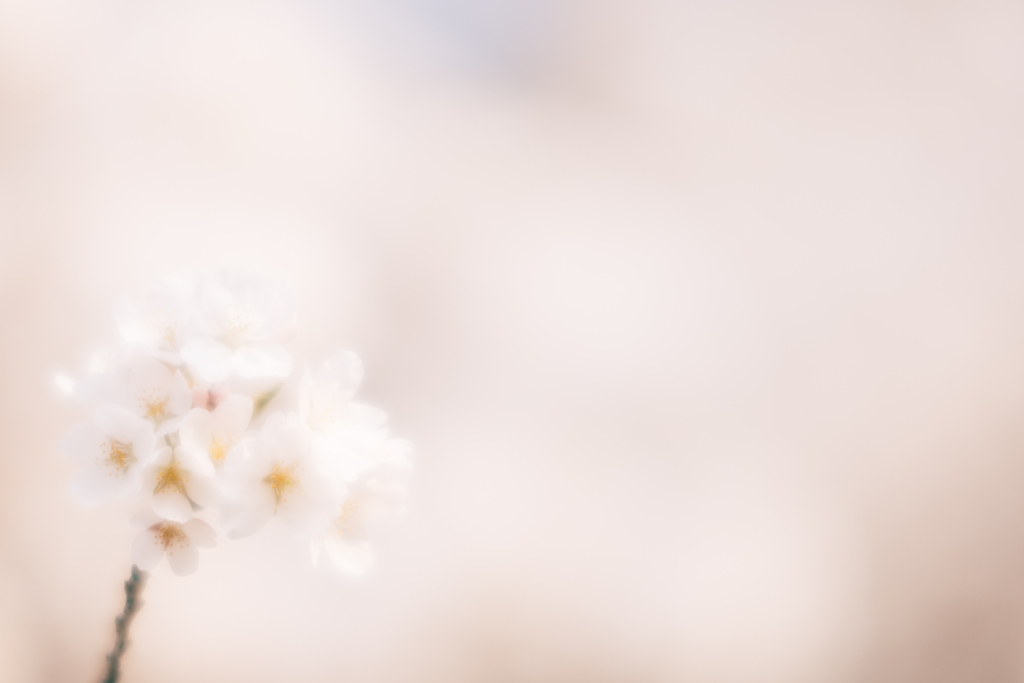 f:id:gorotaku:20180328164621j:plain f:id:gorotaku:20180328164621j:plain