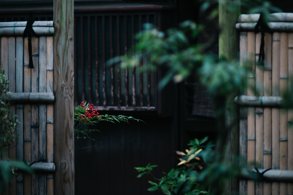 f:id:gorotaku:20181129155034j:plain