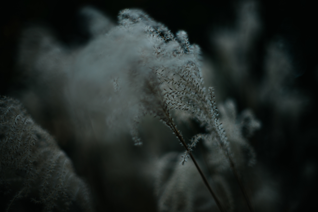 f:id:gorotaku:20181218161314j:plain