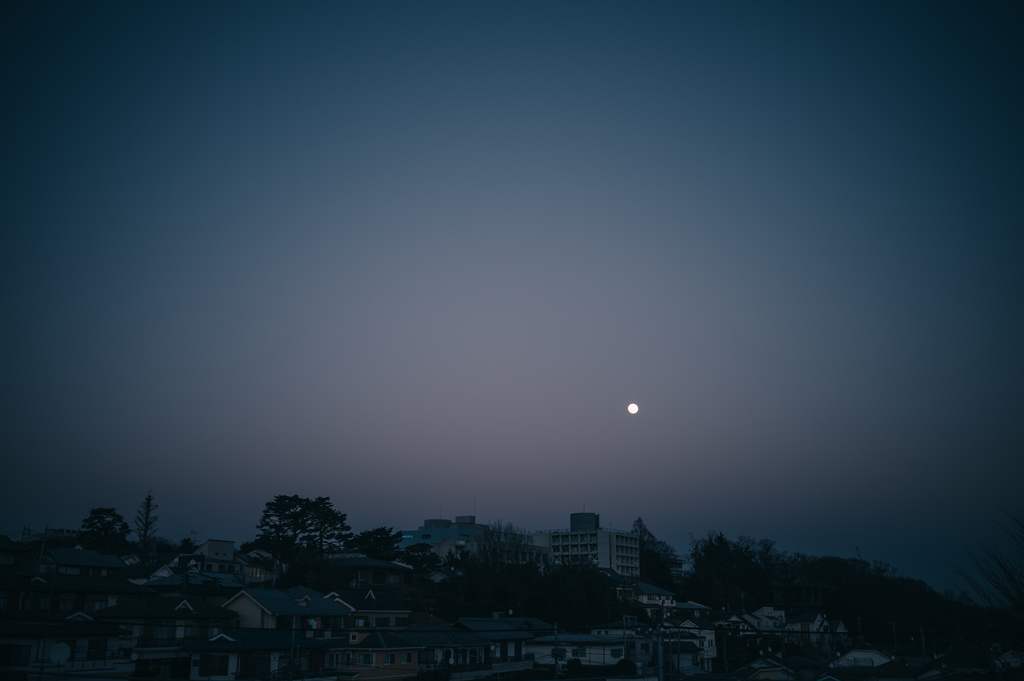f:id:gorotaku:20190120170239j:plain