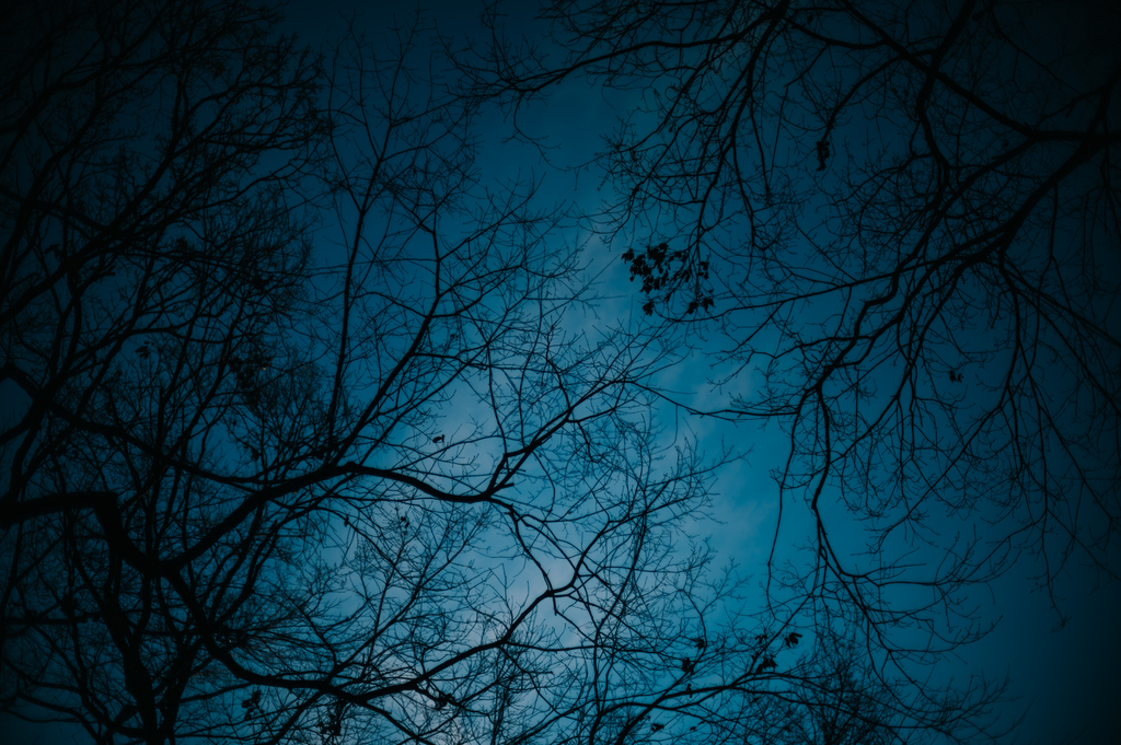 f:id:gorotaku:20190126163836j:plain