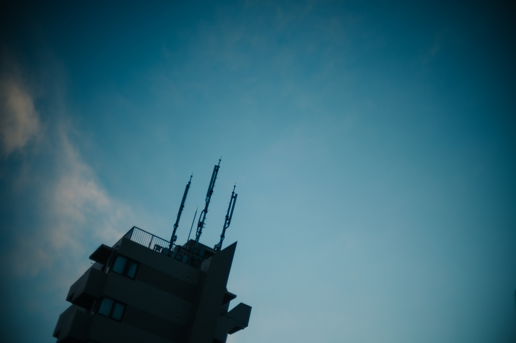 f:id:gorotaku:20190126165106j:plain