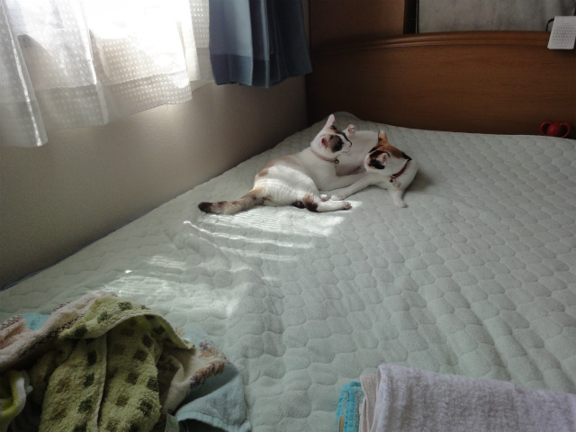 f:id:gosaku13:20120506162806j:image