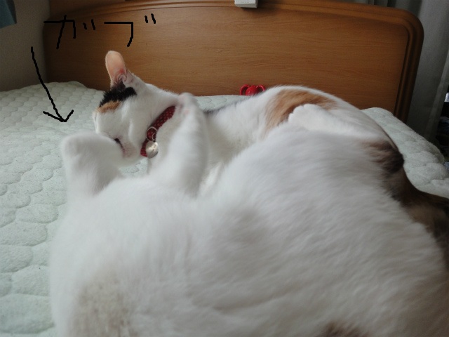 f:id:gosaku13:20120508081242j:image