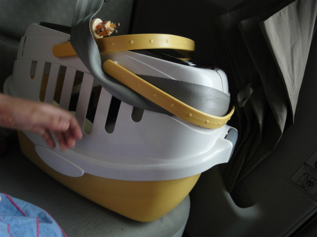 f:id:gosaku13:20120514185328j:image